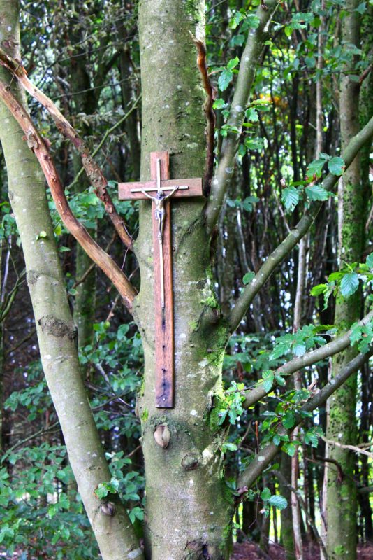 Croix du Corumont La Roche-en-Ardenne stadswandeling