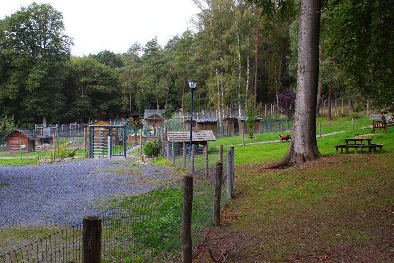 Wildpark La Roche-en-Ardenne